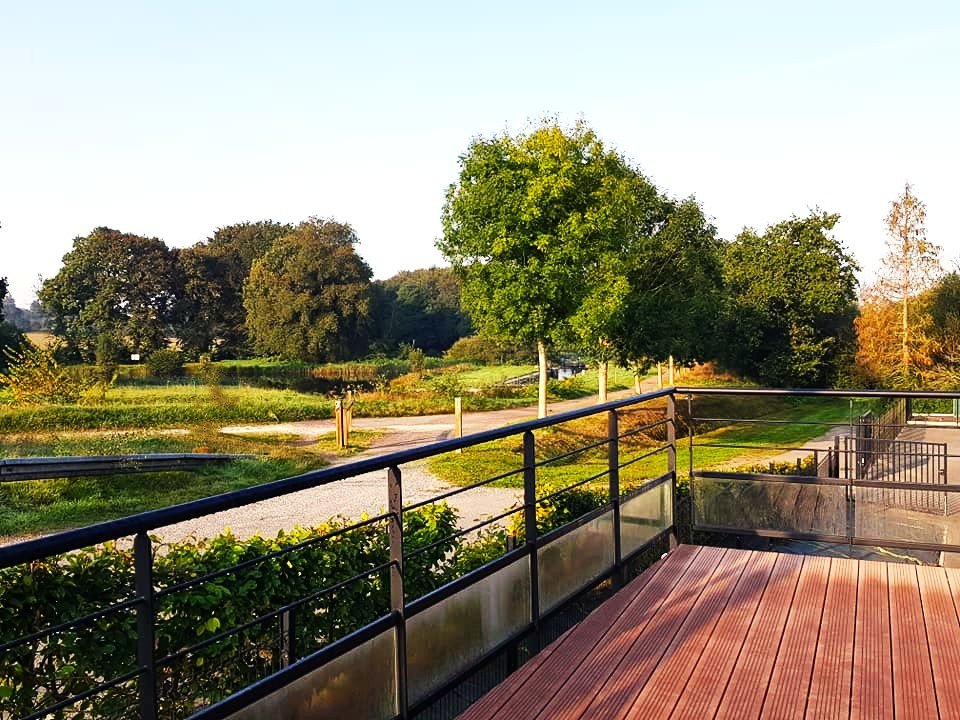 [background image] image of landscape (for a university)